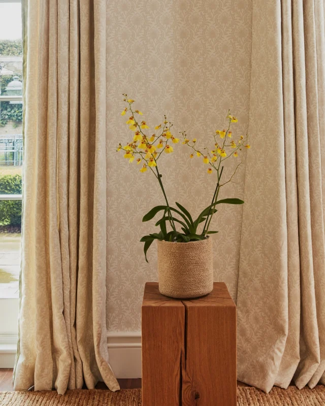 The garden room, my home office in our London house designed to be simple, calm and to enjoy the garden. 

Using a combination of our Vivien in Bertram, linen and matching wallpaper. The curtains are trimmed in Soane Velvet Border, colour Pear via @samuelandsons. 

Samples, fabric and wallpaper available to order online at Cinny.co.uk